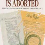 when-justice-is-aborted-book-cover-6x9