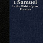 in-the-midst-of-your-enemies-joel-mcdurmon-book-cover-6x9